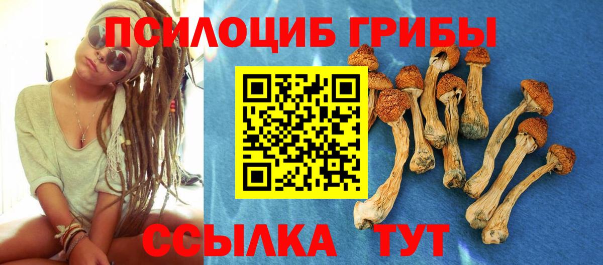Псилоцибиновые грибы Psilocybine cubensis  Вход с VPN  Чехов  Псилоцибиновые грибы GOLDEN TEACHER 
