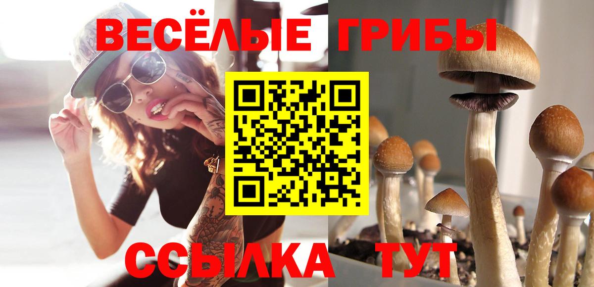 Псилоцибиновые грибы MAGIC MUSHROOMS Чехов