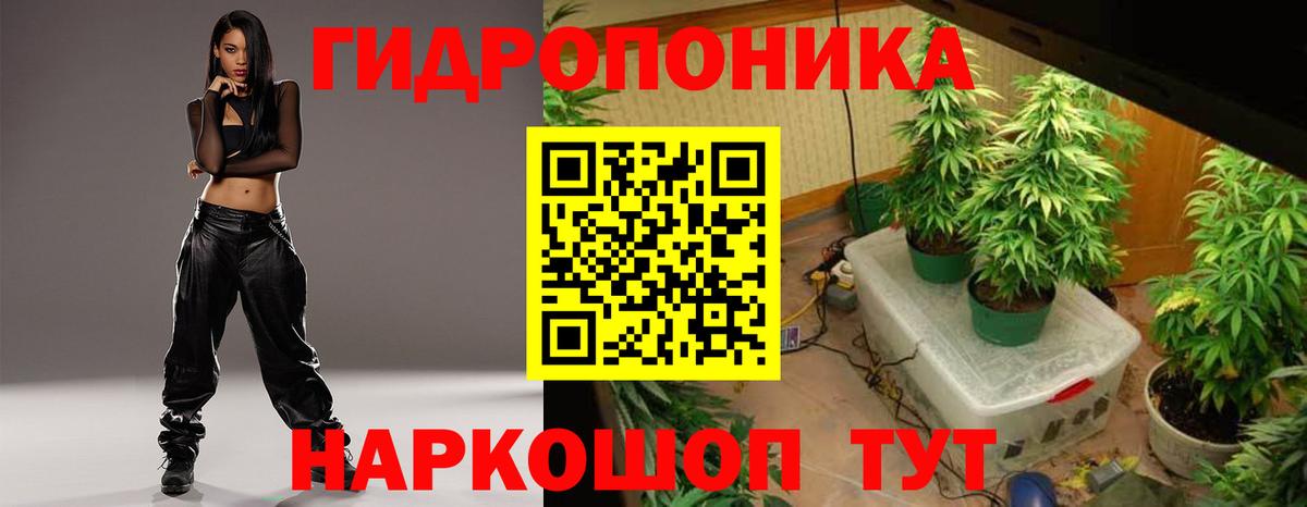 Каннабис план  Каннабис Ganja  Бошки марихуана Bruce Banner  Конопля Amnesia  Вход с VPN  Чехов 